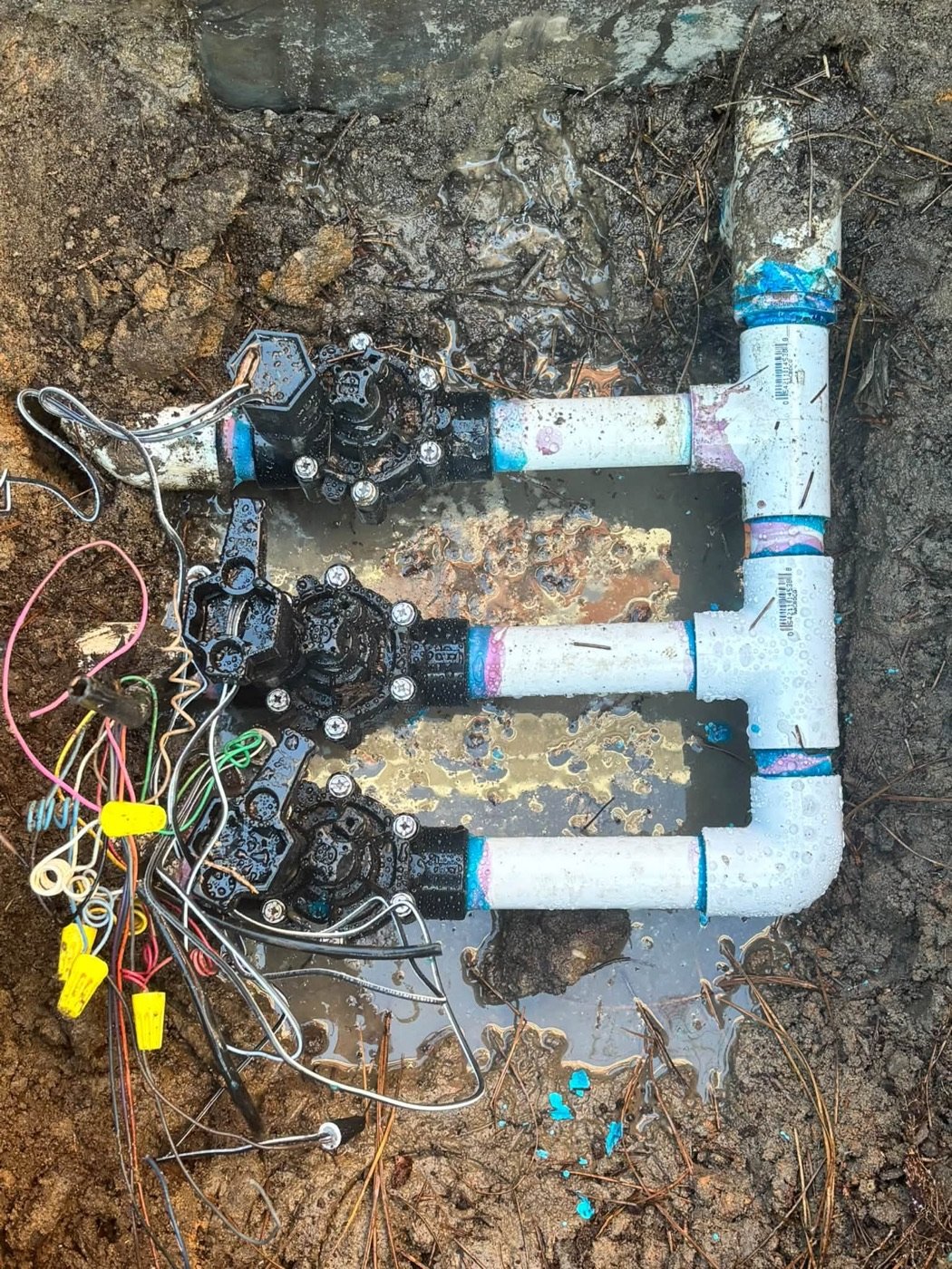 After: three new sprinkler valves on fresh PVC with the wiring connected and capped